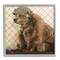 Stupell Industries Rustic Brown Bear Wearing Fisherman's Hat Geometric Pattern Framed Wall Art